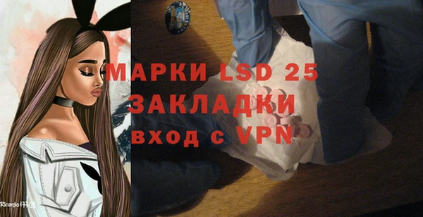 индика Алексеевка