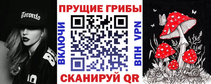 Галлюциногенные грибы MAGIC MUSHROOMS  купить закладку  кракен рабочий сайт  Камешково 